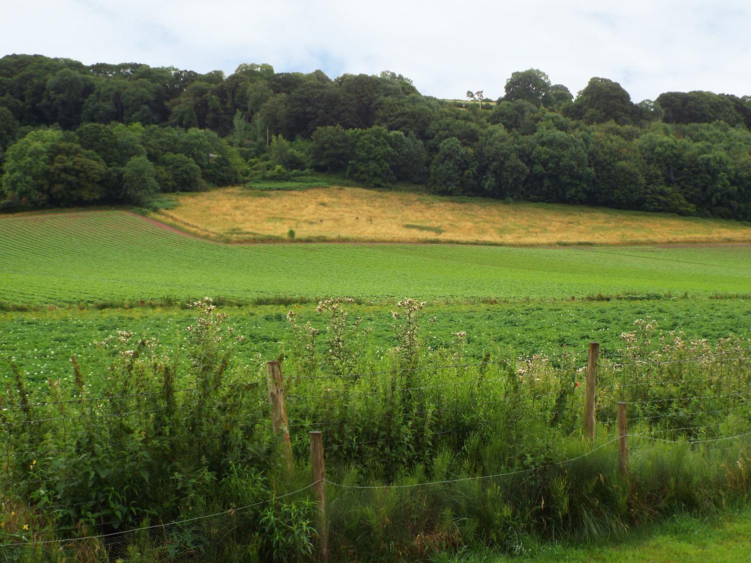 Вилла The Granary Ross-on-Wye Экстерьер фото